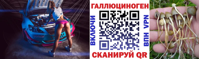 Псилоцибиновые грибы мицелий  сколько стоит  Чишмы 