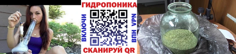 Бошки Шишки Amnesia  ОМГ ОМГ как войти  Чишмы 